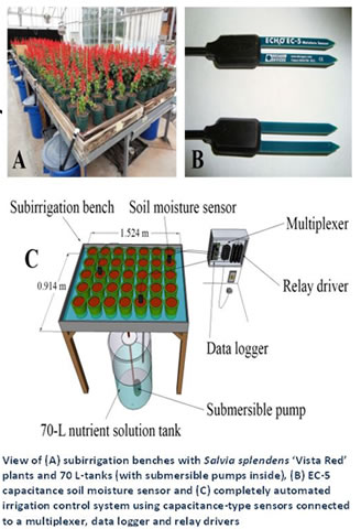 subirrigation diagram