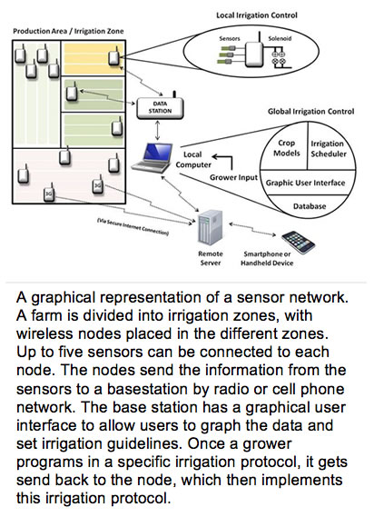 wireless network setup